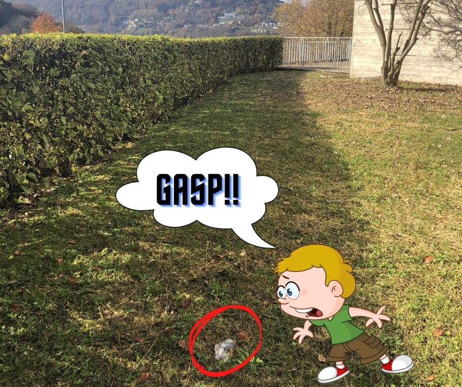 a sign sitting on top of a grass covered field